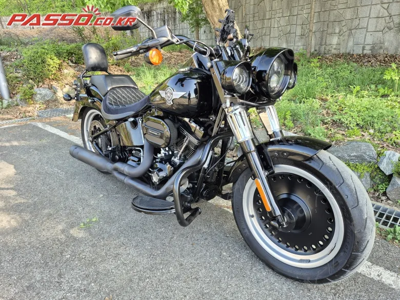 Harley-Davidson Flstfbs - фото 6