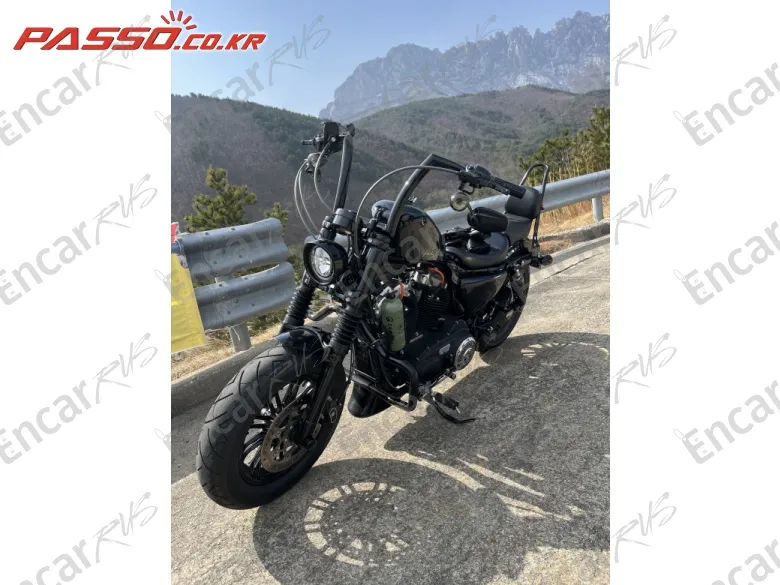 Harley-Davidson Xl 1200 X Forty Eight 48 - фото 1