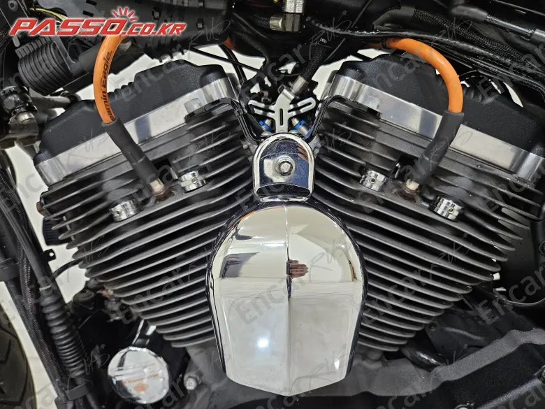 Harley-Davidson Roadster 1200 - фото 4