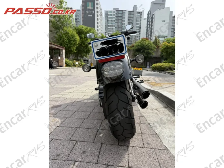 Harley-Davidson Fxdls - фото 2