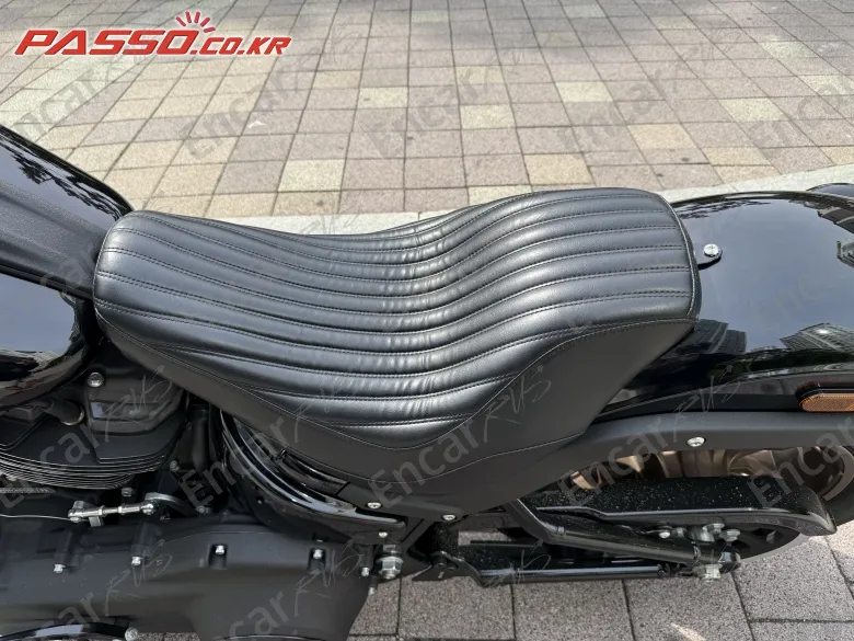 Harley-Davidson Fxdls - фото 6