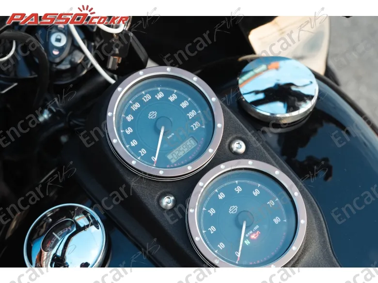 Harley-Davidson Fxdls - фото 4