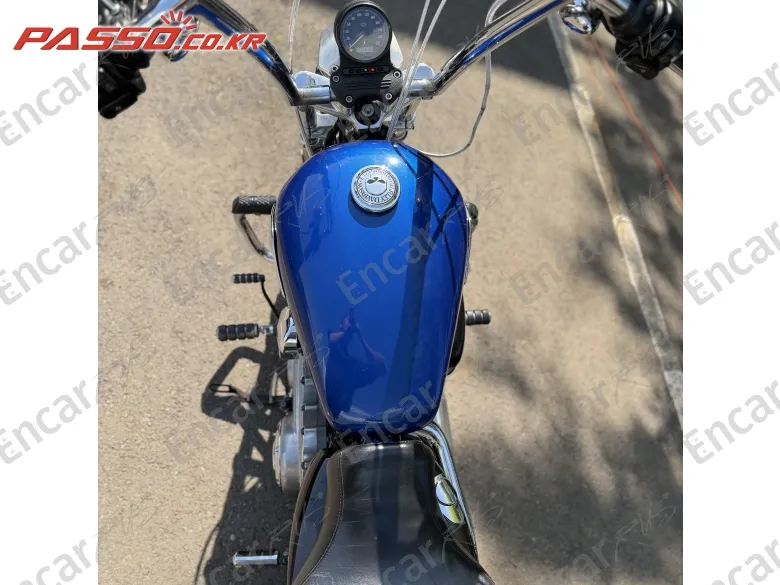 Harley-Davidson Xl 883 N - фото 3