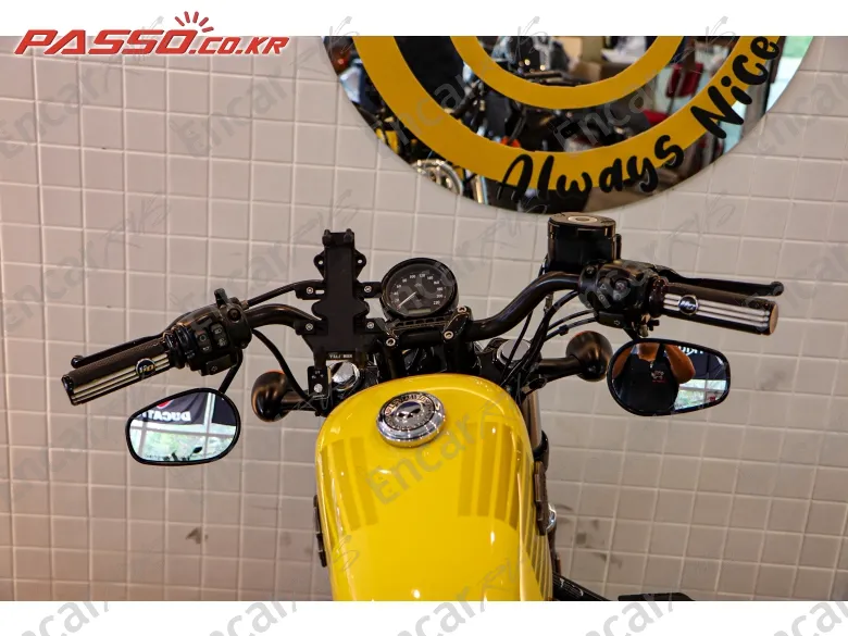 Harley-Davidson Xl 1200 X Forty Eight 48 - фото 3