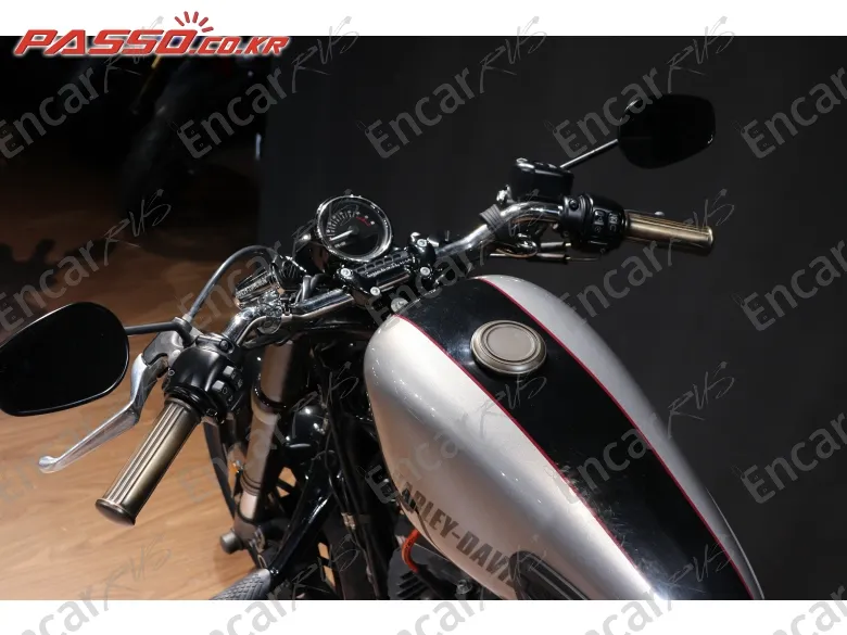 Harley-Davidson Roadster 1200 - фото 3