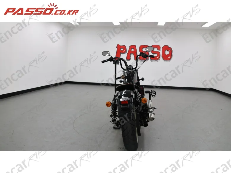 Harley-Davidson Xl 1200 X Forty Eight 48 - фото 2