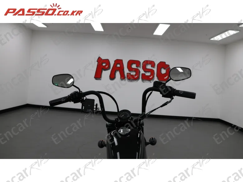 Harley-Davidson Xl 1200 X Forty Eight 48 - фото 3