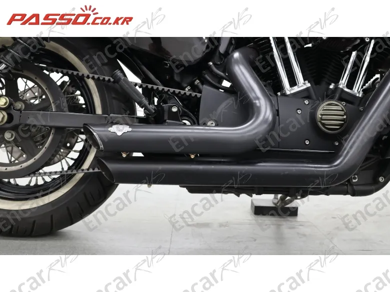 Harley-Davidson Xl 1200 X Forty Eight 48 - фото 6