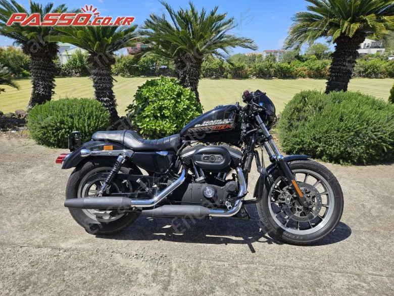 HARLEY-DAVIDSON XL 883 R - фото 0