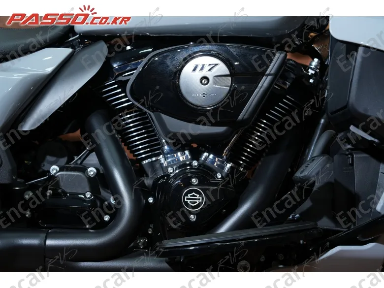 Harley-Davidson Flhx - фото 4