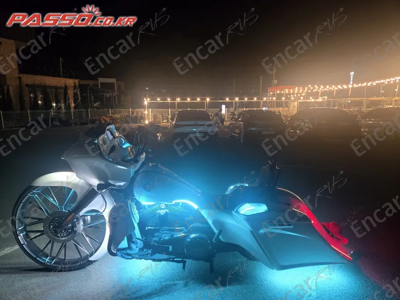 HARLEY-DAVIDSON FLTRX - фото 6