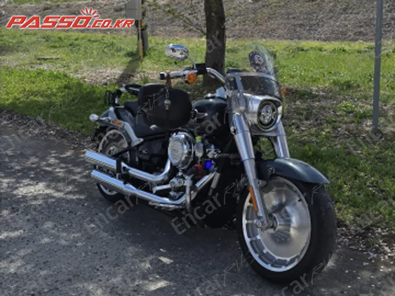 HARLEY-DAVIDSON FAT BOY 107 - фото 0