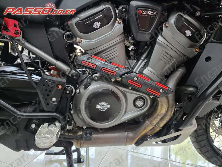 Harley-Davidson Pan America 1250 Special - фото 4