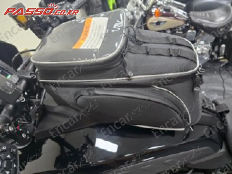 HARLEY-DAVIDSON PAN AMERICA 1250 SPECIAL - фото 3