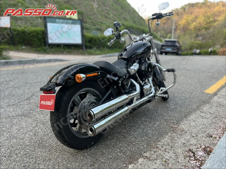 HARLEY-DAVIDSON SOFTAIL STANDARD - фото 6