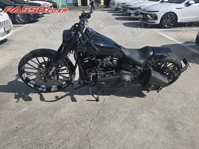 Harley-Davidson Fat Bob 114 - фото 1