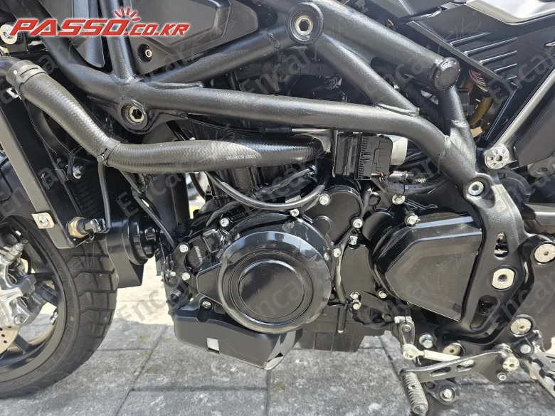 BENELLI LEONCINO 800 - фото 4