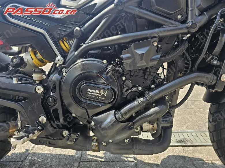 BENELLI LEONCINO 800 - фото 5