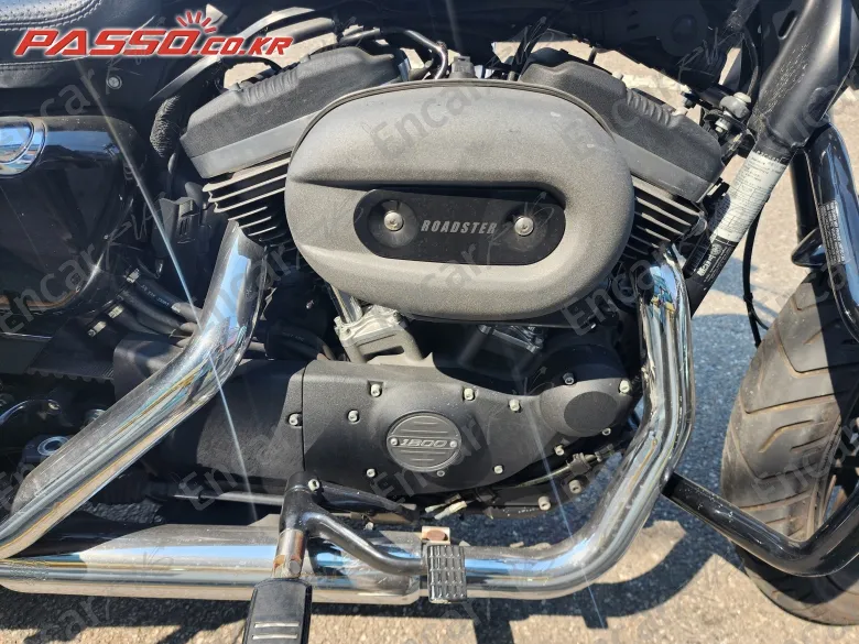 HARLEY-DAVIDSON ROADSTER 1200 - фото 4