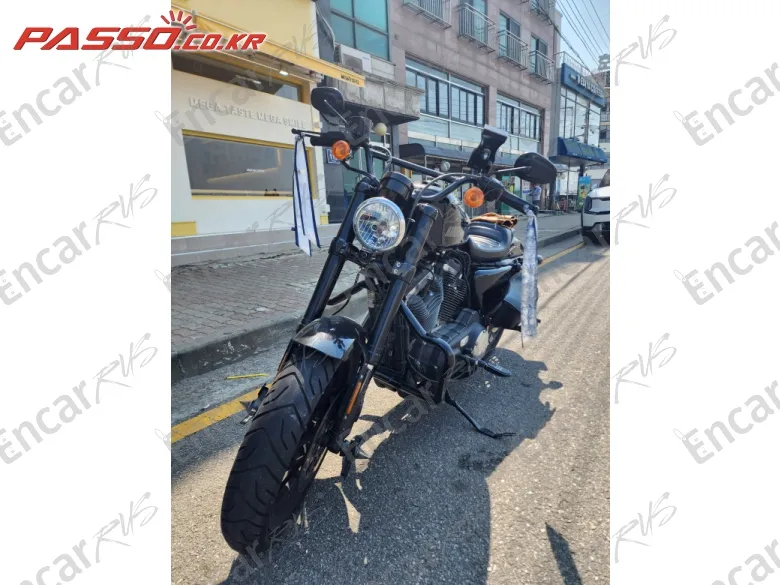 HARLEY-DAVIDSON ROADSTER 1200 - фото 6