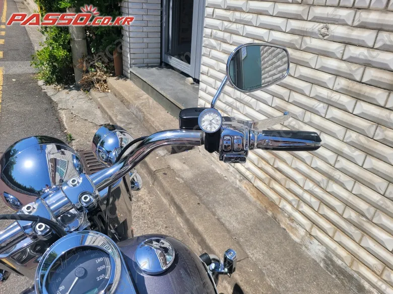 HARLEY-DAVIDSON FLSTF - фото 3