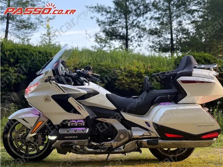 HONDA GOLDWING TOUR MT - фото 1