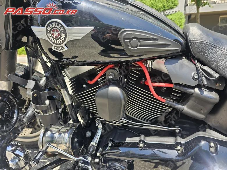 HARLEY-DAVIDSON FLSTF - фото 4
