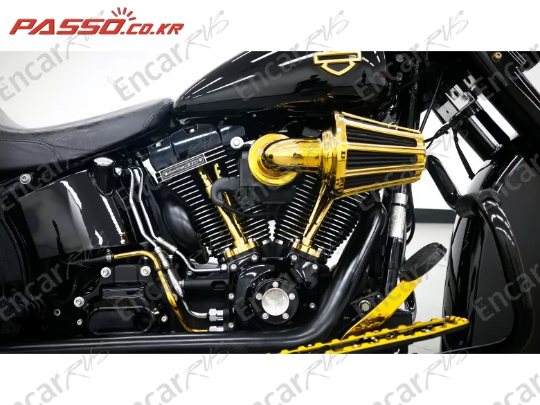 HARLEY-DAVIDSON SOFTAIL SLIM S - фото 4