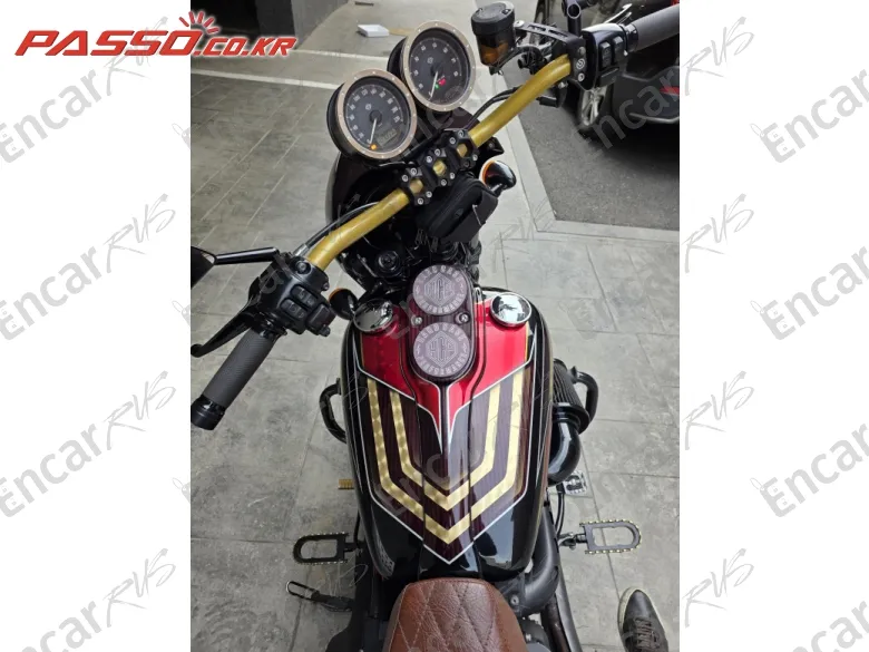 HARLEY-DAVIDSON FXDLS - фото 3