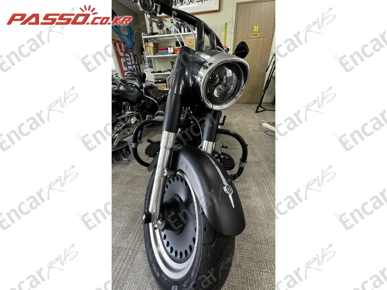 HARLEY-DAVIDSON FLSTFB - фото 2