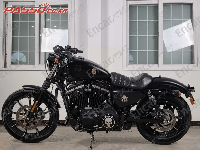 Harley-Davidson Xl 883 N - фото 1