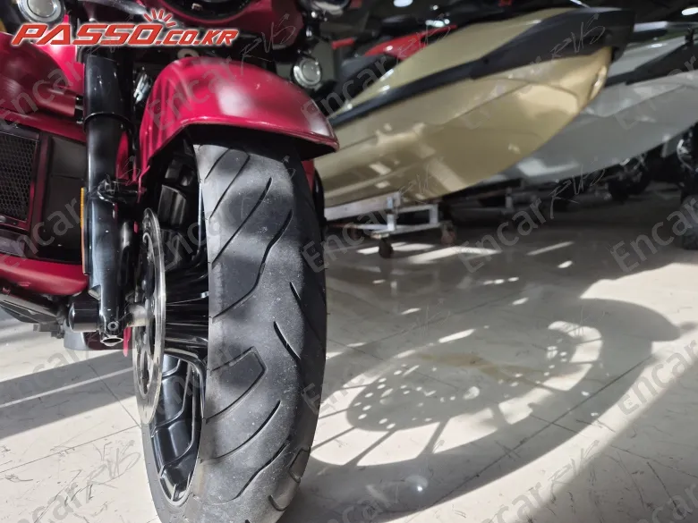 Harley-Davidson Flhx - фото 5