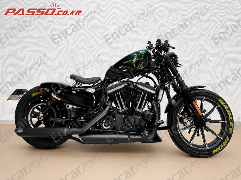 Harley-Davidson Xl 883 N - фото 0