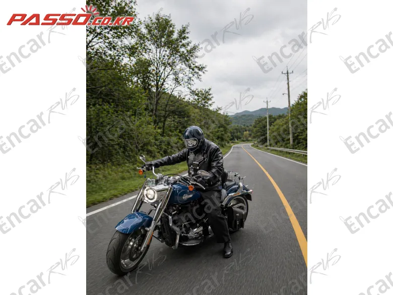 Harley-Davidson Fat Boy 114 - фото 4