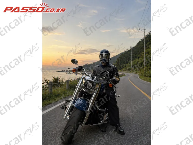 Harley-Davidson Fat Boy 114 - фото 5