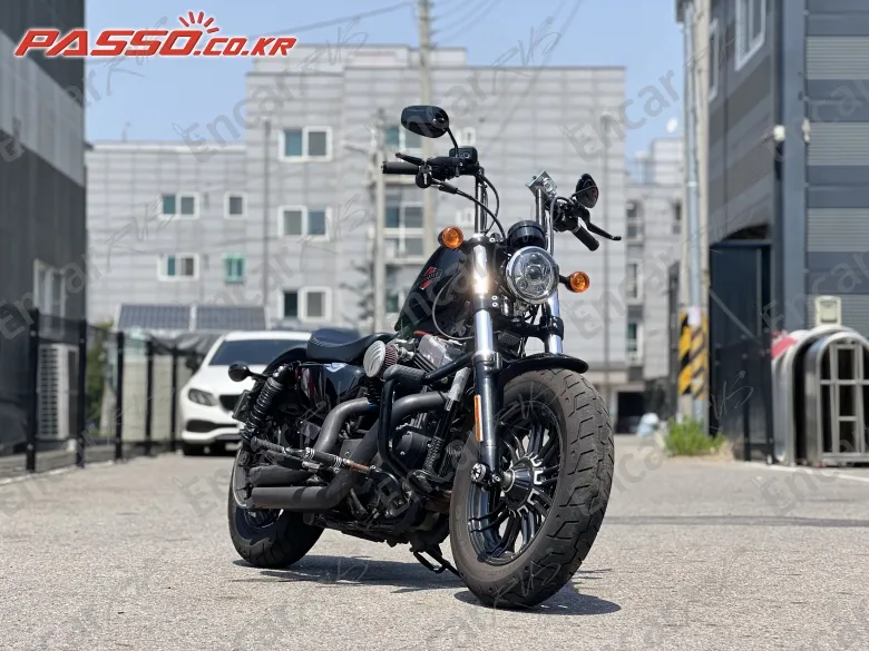 Harley-Davidson Xl 1200 X Forty Eight 48 - фото 6