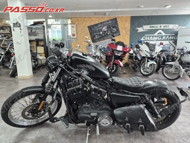 Harley-Davidson Xl 883 N - фото 1