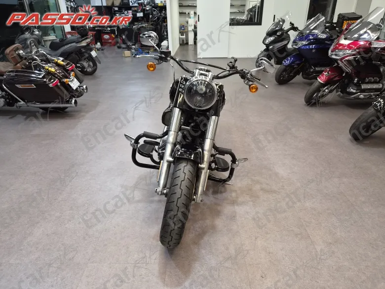 Harley-Davidson Softail Slim - фото 3