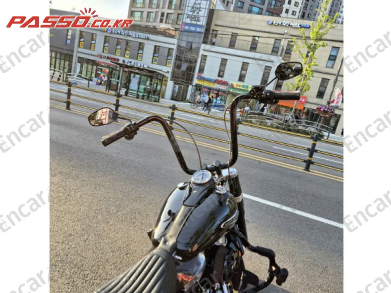 Harley-Davidson Softail Slim - фото 2