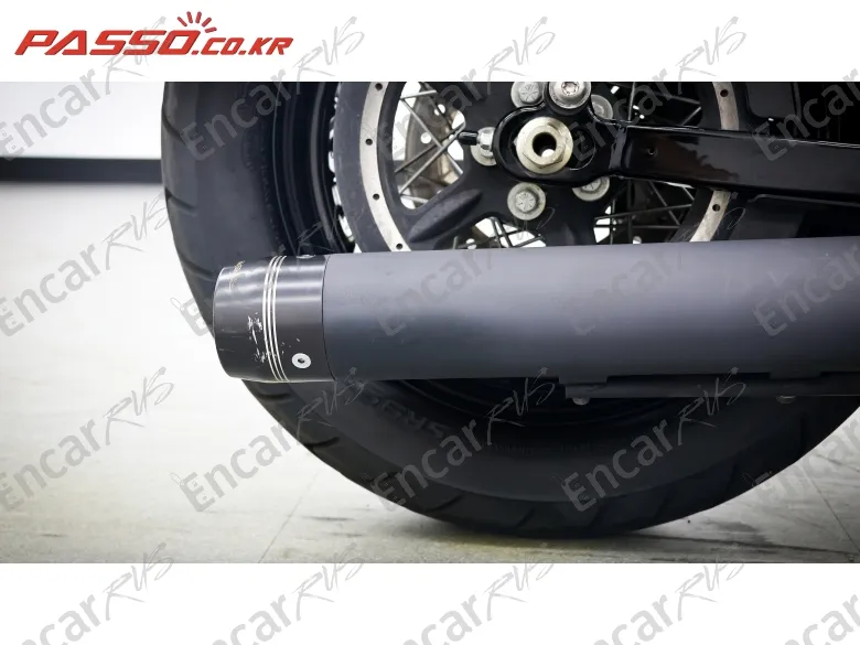 Harley-Davidson Xl 1200 X Forty Eight 48 - фото 6