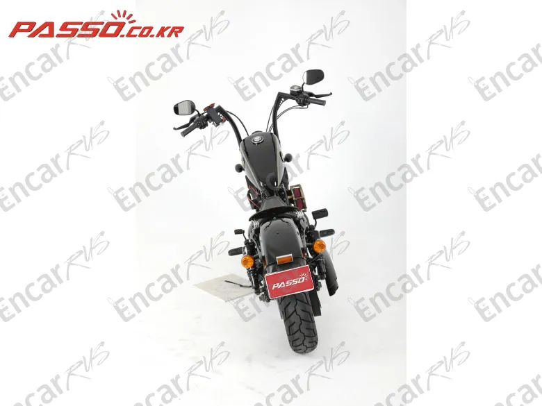 Harley-Davidson Xl 1200 X Forty Eight 48 - фото 2