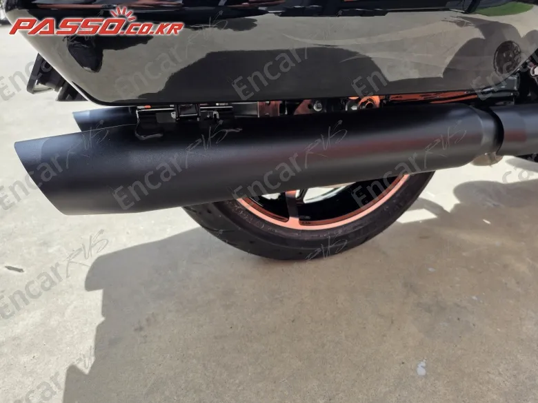 Harley-Davidson Flhx - фото 6