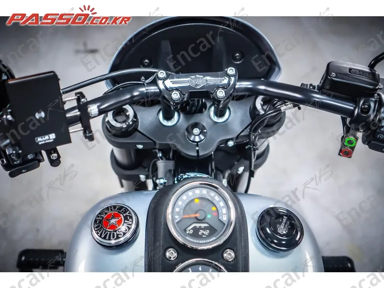 HARLEY-DAVIDSON SOFTAIL LOW RIDER S - фото 3