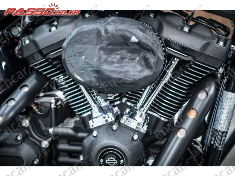 HARLEY-DAVIDSON SOFTAIL LOW RIDER S - фото 4