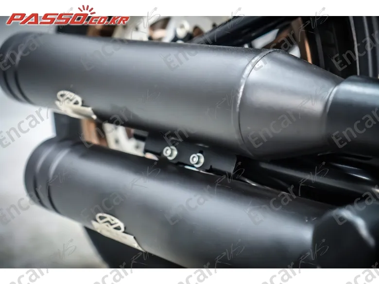 HARLEY-DAVIDSON SOFTAIL LOW RIDER S - фото 6