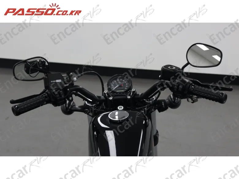 Harley-Davidson Xl 1200 X Forty Eight 48 - фото 3