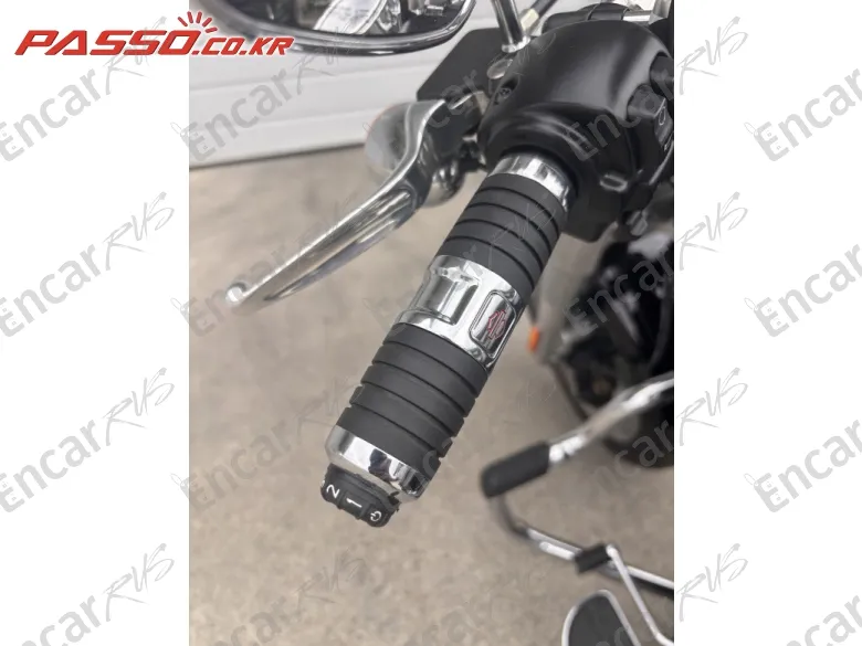 HARLEY-DAVIDSON FAT BOY 114 - фото 3