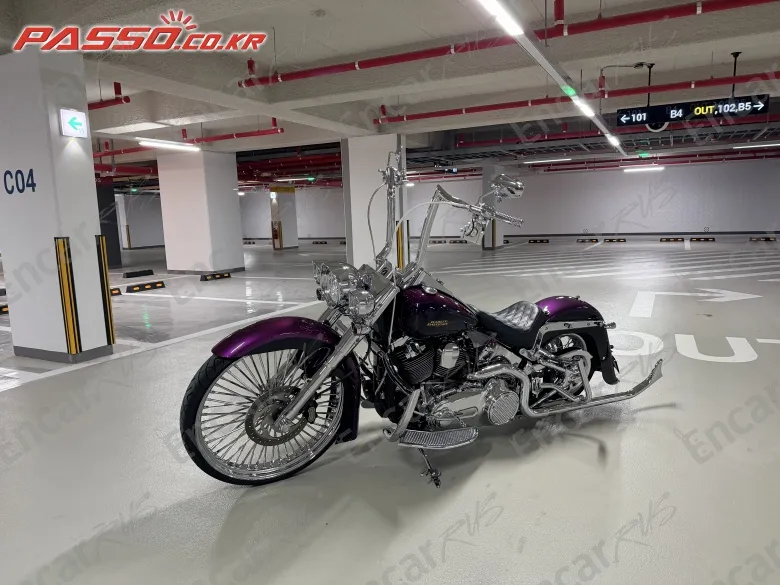 Harley-Davidson Flstn - фото 1