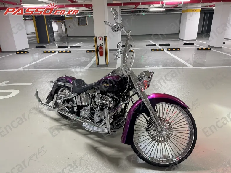 Harley-Davidson Flstn - фото 5