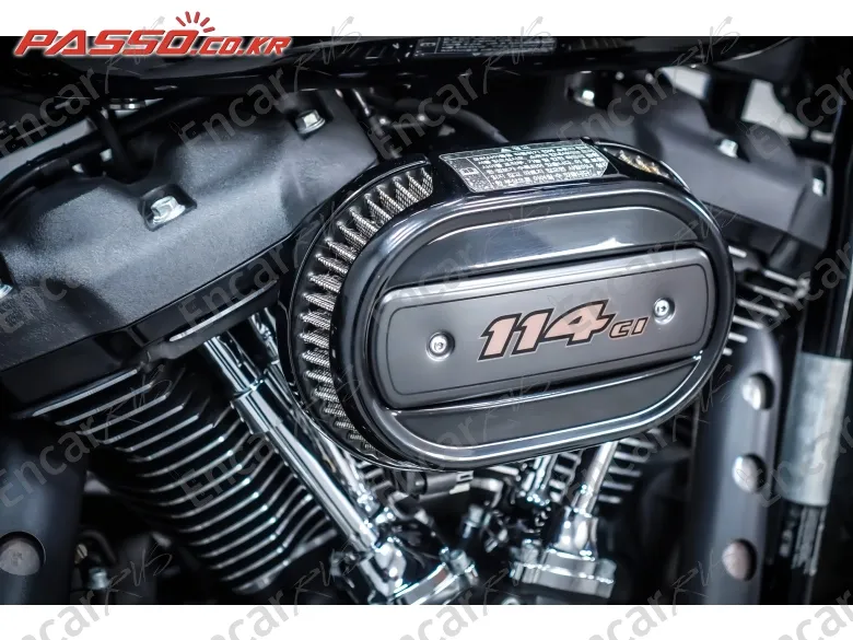 HARLEY-DAVIDSON SOFTAIL LOW RIDER S - фото 4